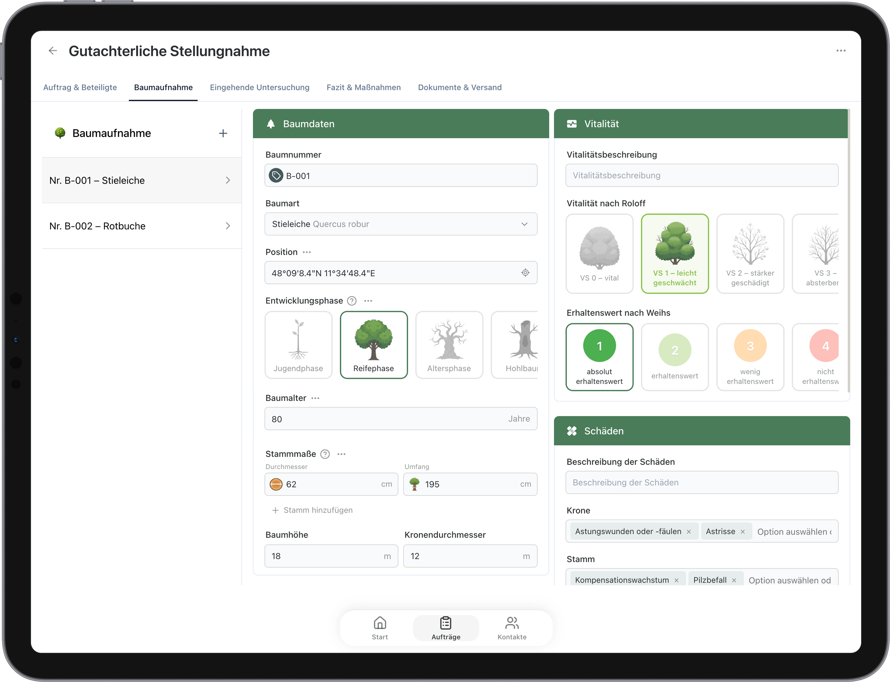 ArborAudit: Baumaufnahme